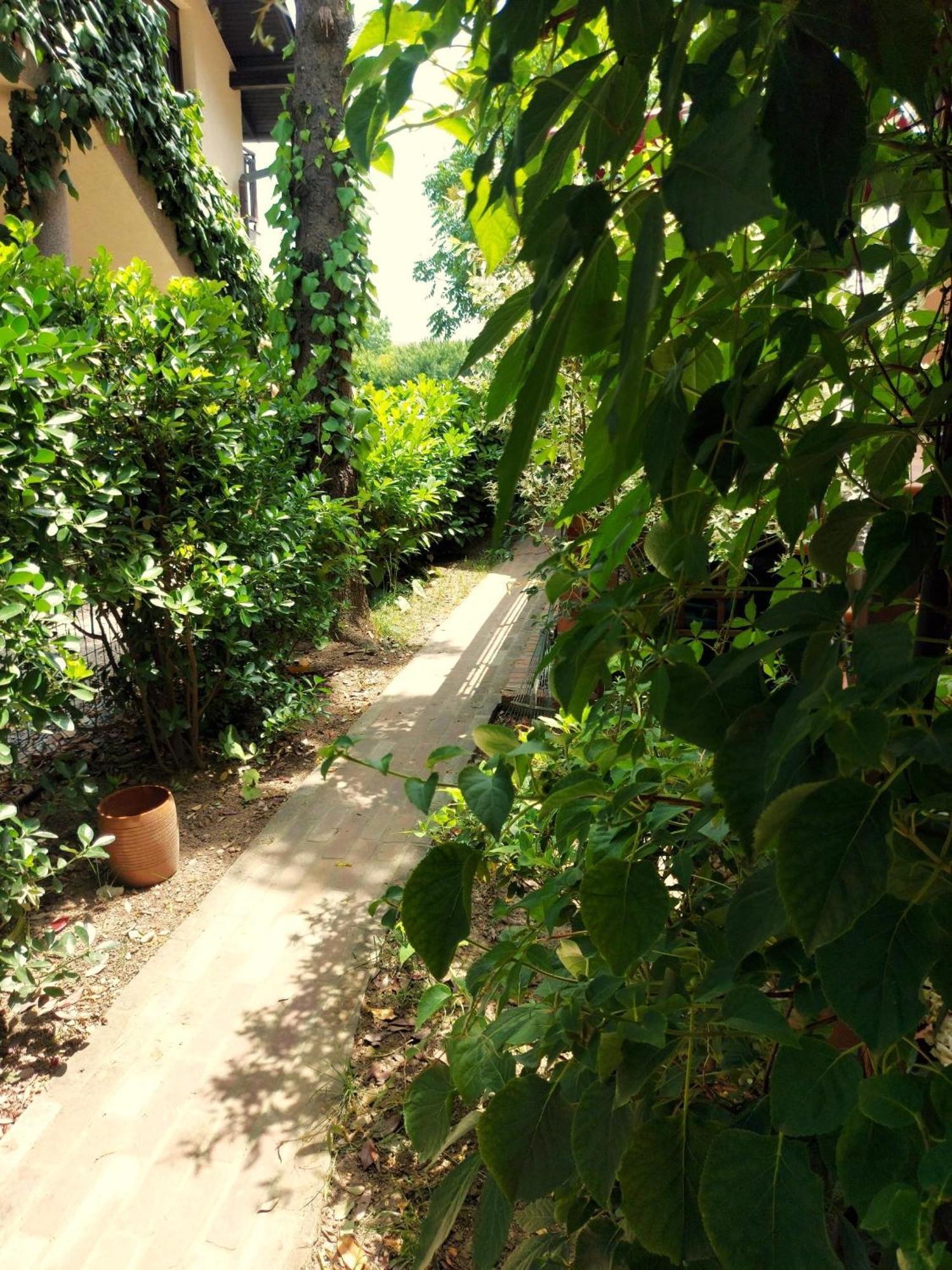 Eden Apartment Sveta Nedjelja  Dış mekan fotoğraf