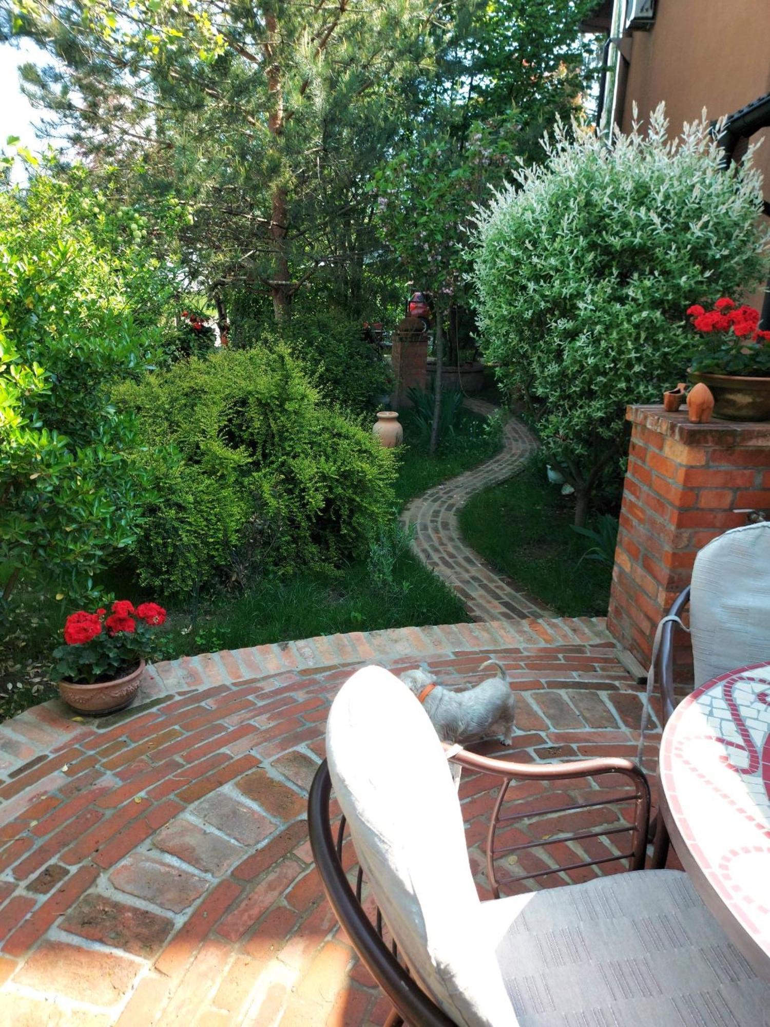 Eden Apartment Sveta Nedjelja  Dış mekan fotoğraf